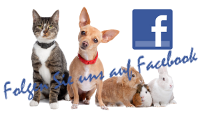 Folgen Sie uns auf Facebook Kleintierpraxis in Burgdorf bei Facebook